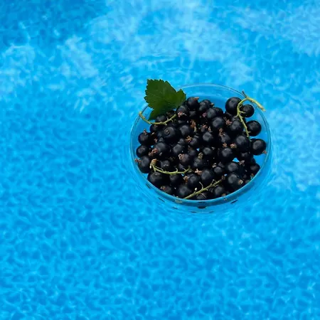 Villa смокиня град Hiszarja