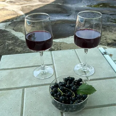 Villa смокиня град