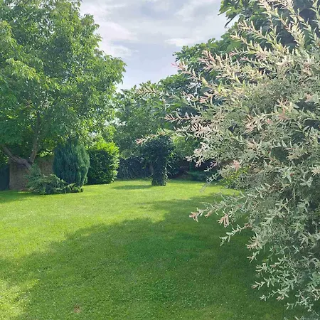 смокиня град