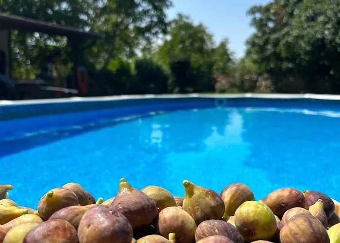 смокиня град