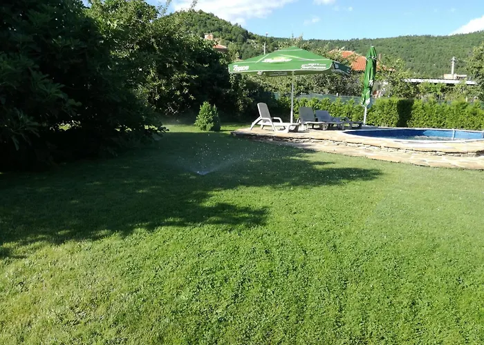 смокиня град *