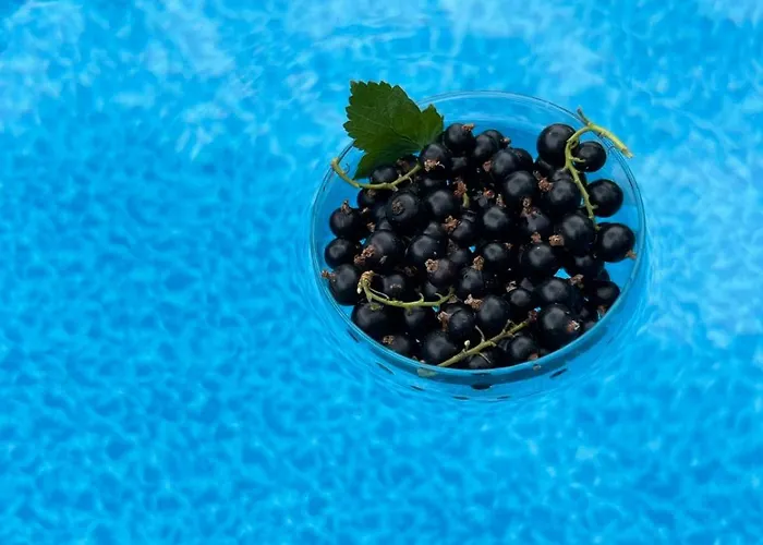 Willa смокиня град Chisaria