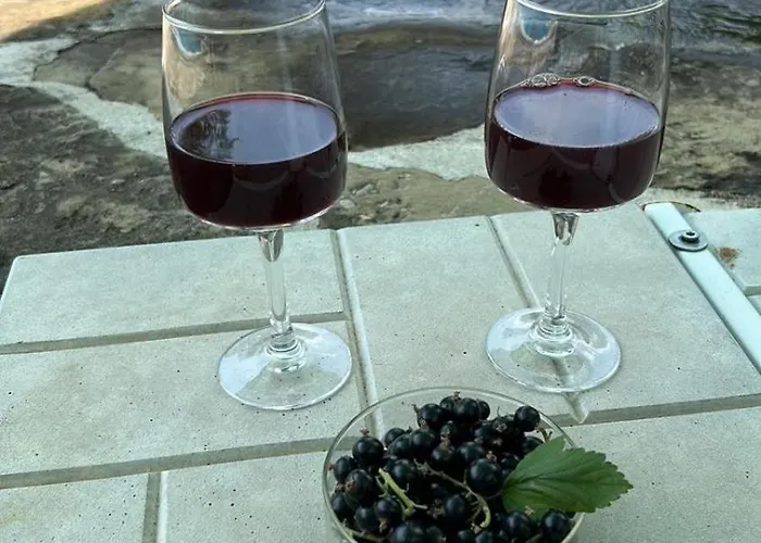 Willa смокиня град