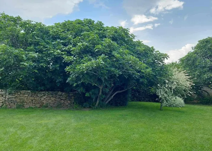 смокиня град Willa *