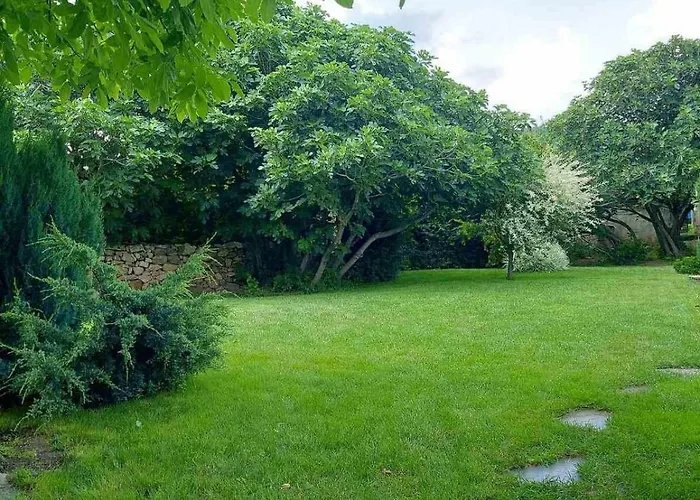 смокиня град