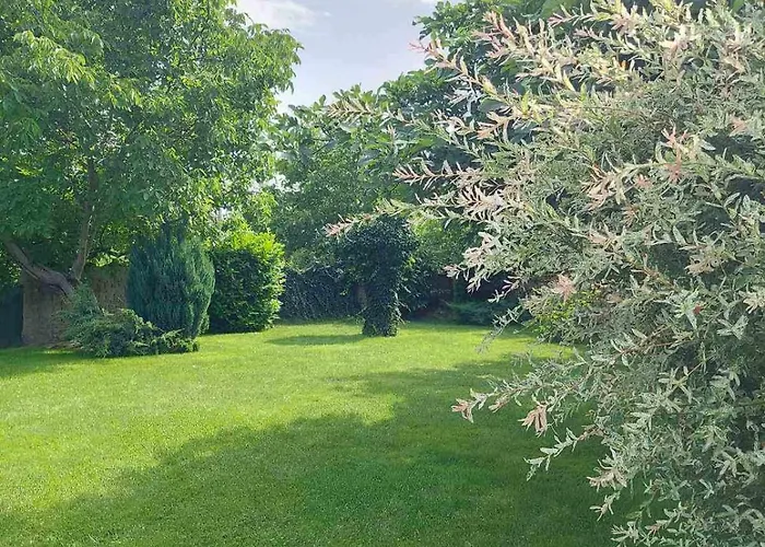 смокиня град